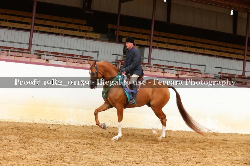 Proof 19R2_01159