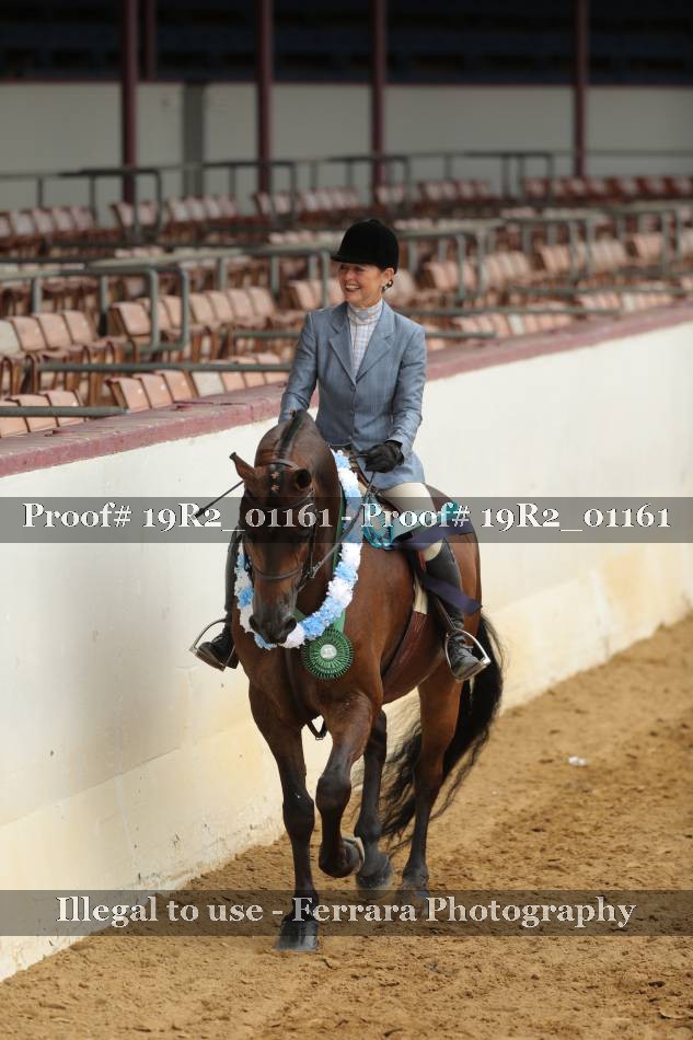 Proof 19R2_01161