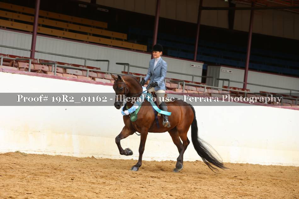 Proof 19R2_01162