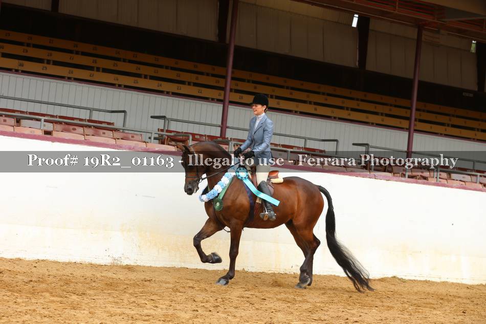 Proof 19R2_01163