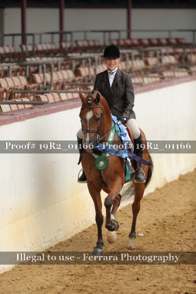 Proof 19R2_01166