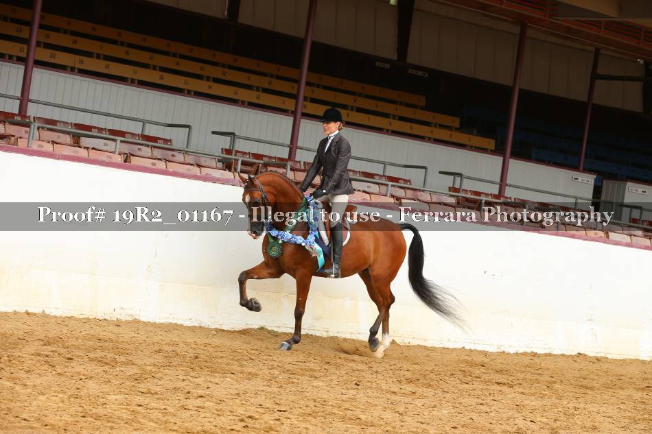 Proof 19R2_01167