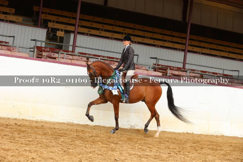Proof 19R2_01169