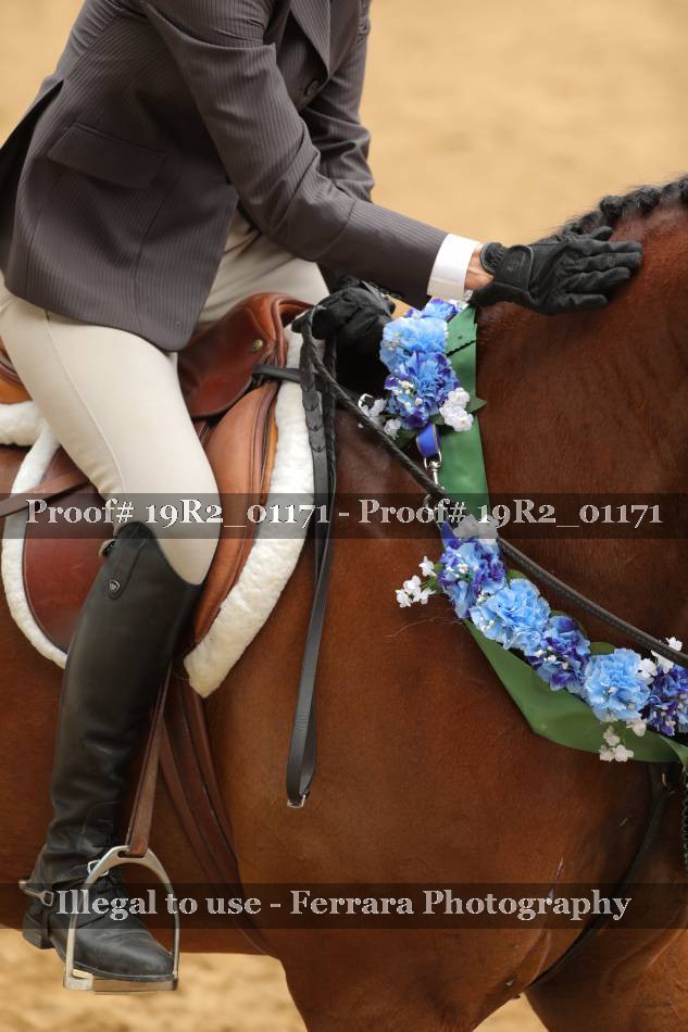 Proof 19R2_01171