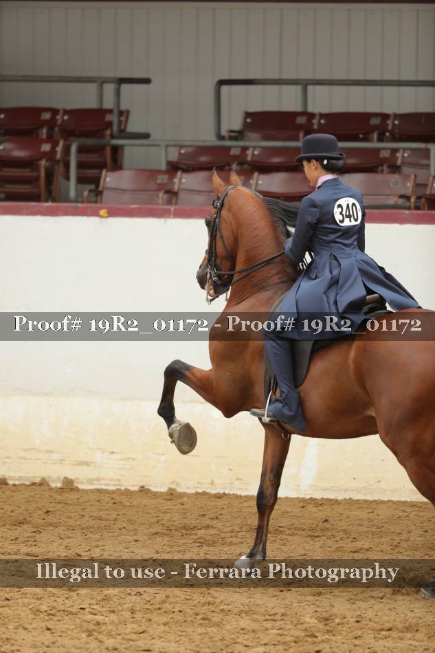 Proof 19R2_01172