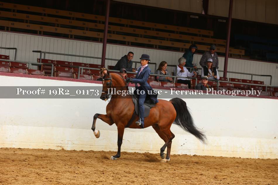 Proof 19R2_01173