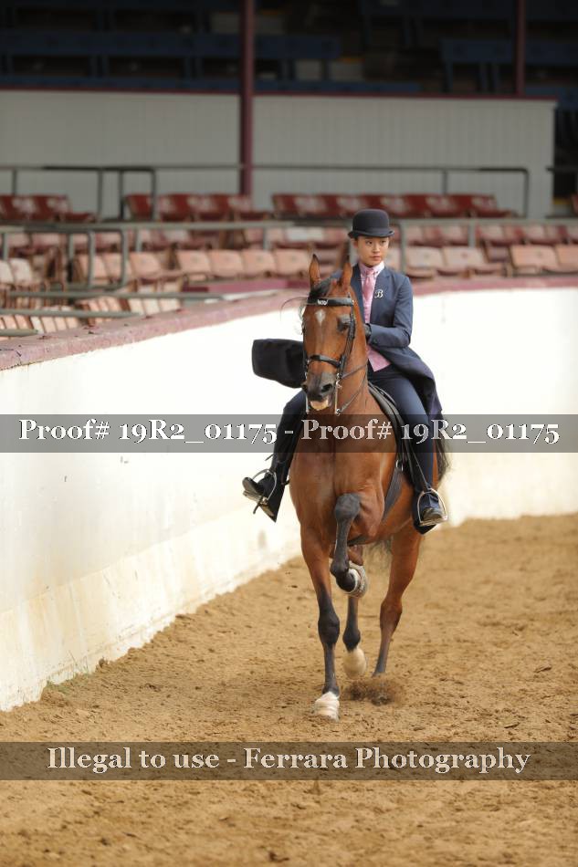 Proof 19R2_01175