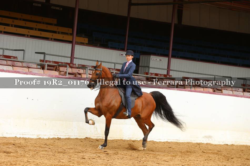 Proof 19R2_01176