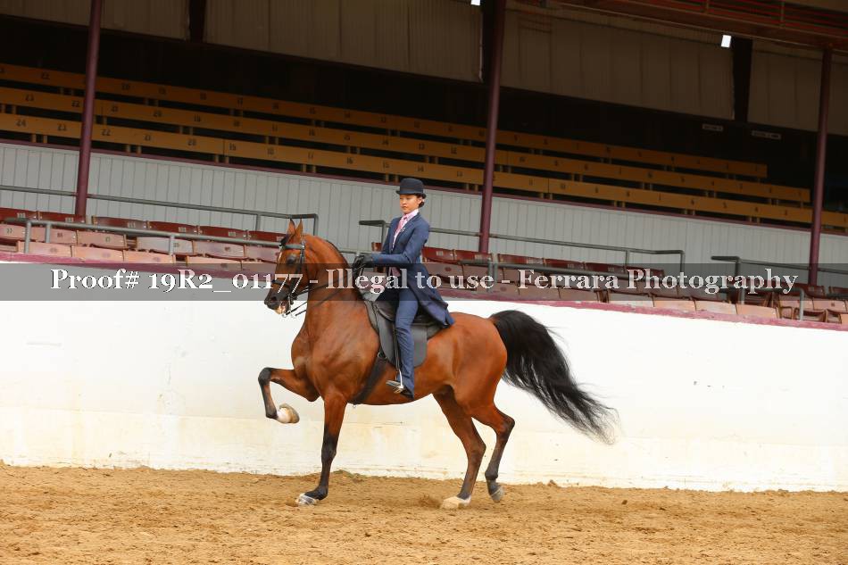 Proof 19R2_01177