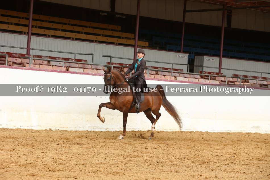 Proof 19R2_01179