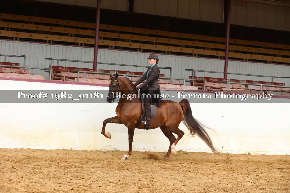 Proof 19R2_01181