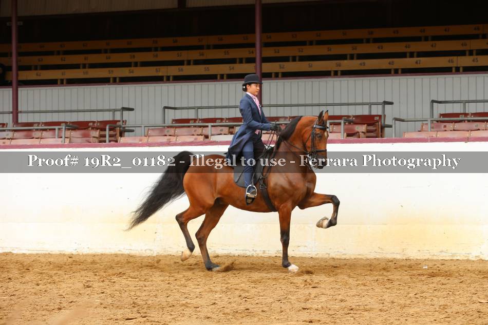 Proof 19R2_01182