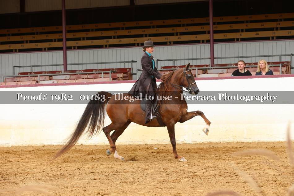 Proof 19R2_01183