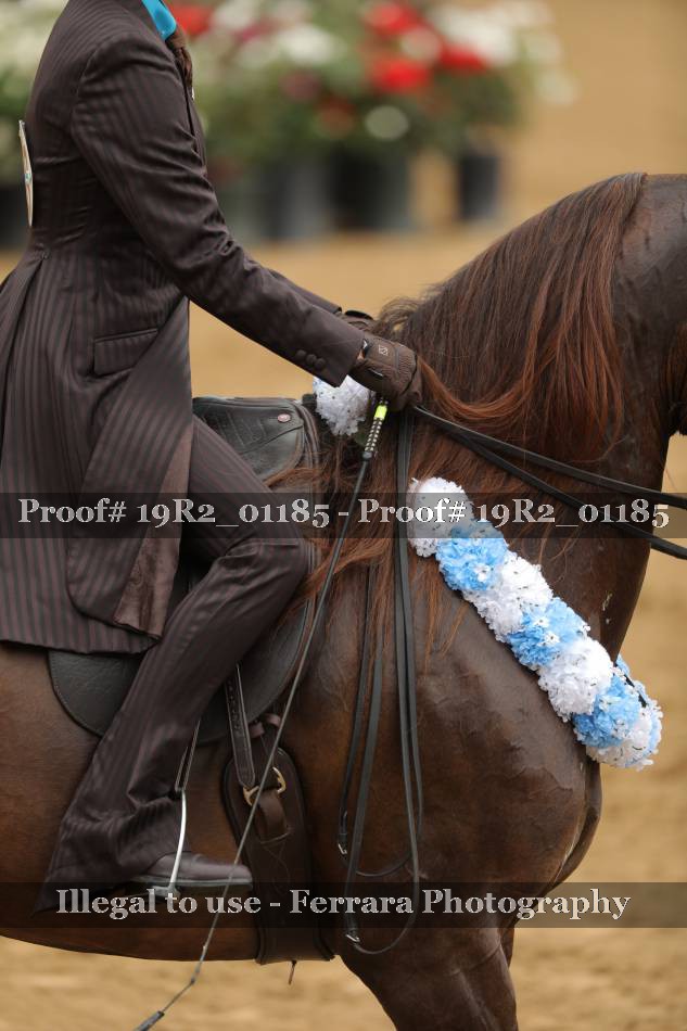 Proof 19R2_01185