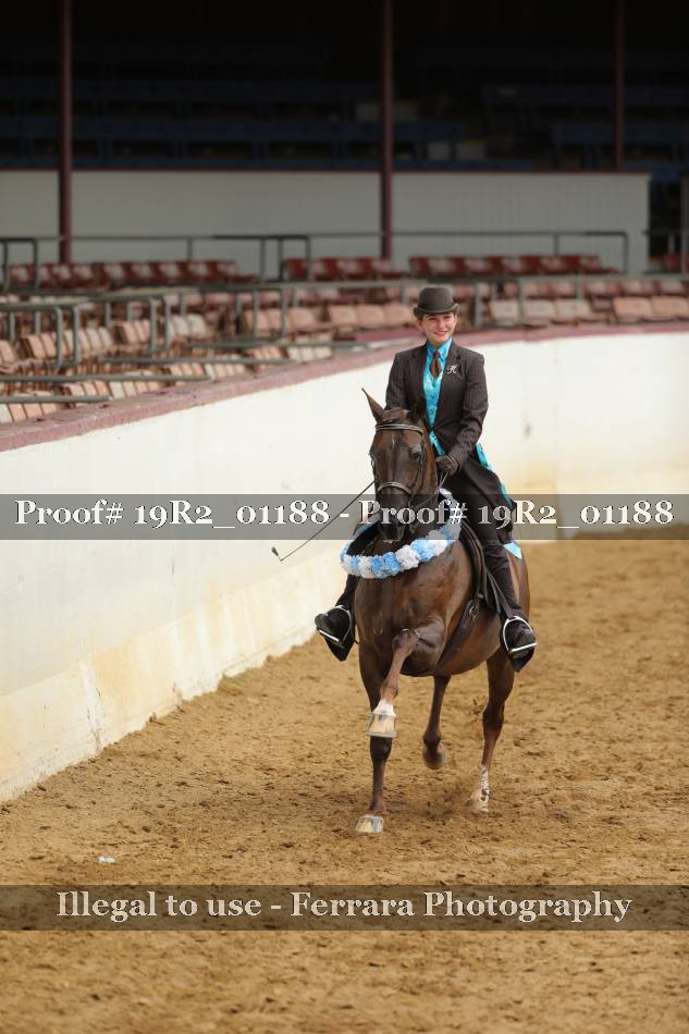 Proof 19R2_01188