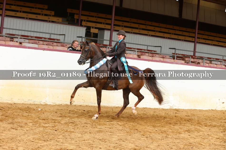 Proof 19R2_01189