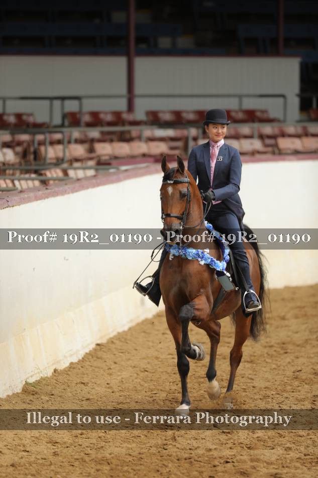 Proof 19R2_01190