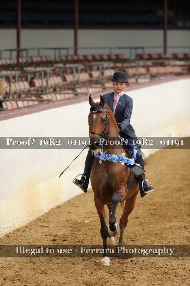 Proof 19R2_01191
