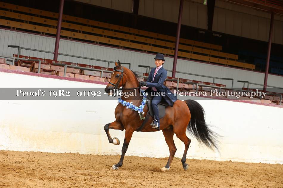 Proof 19R2_01192