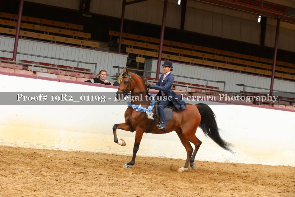 Proof 19R2_01193