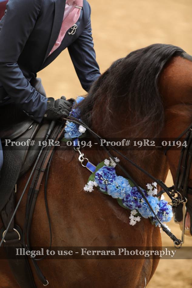 Proof 19R2_01194