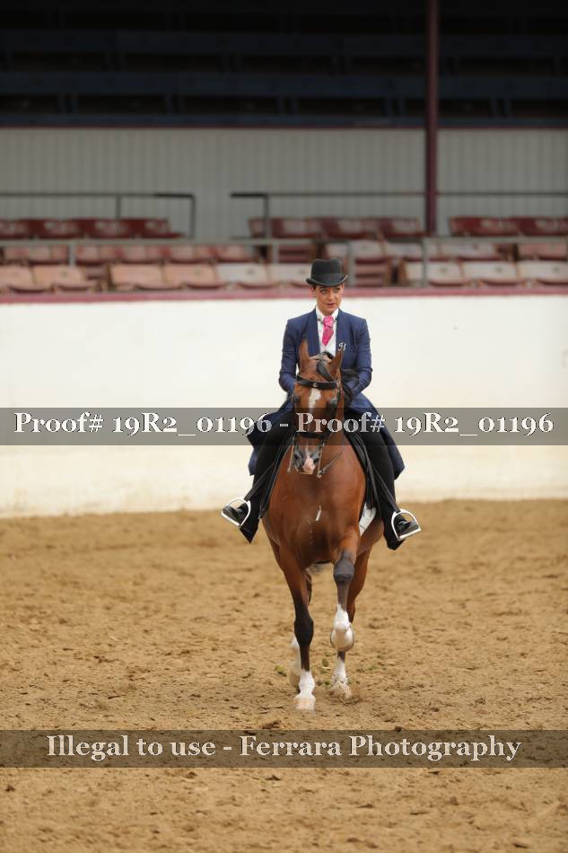 Proof 19R2_01196