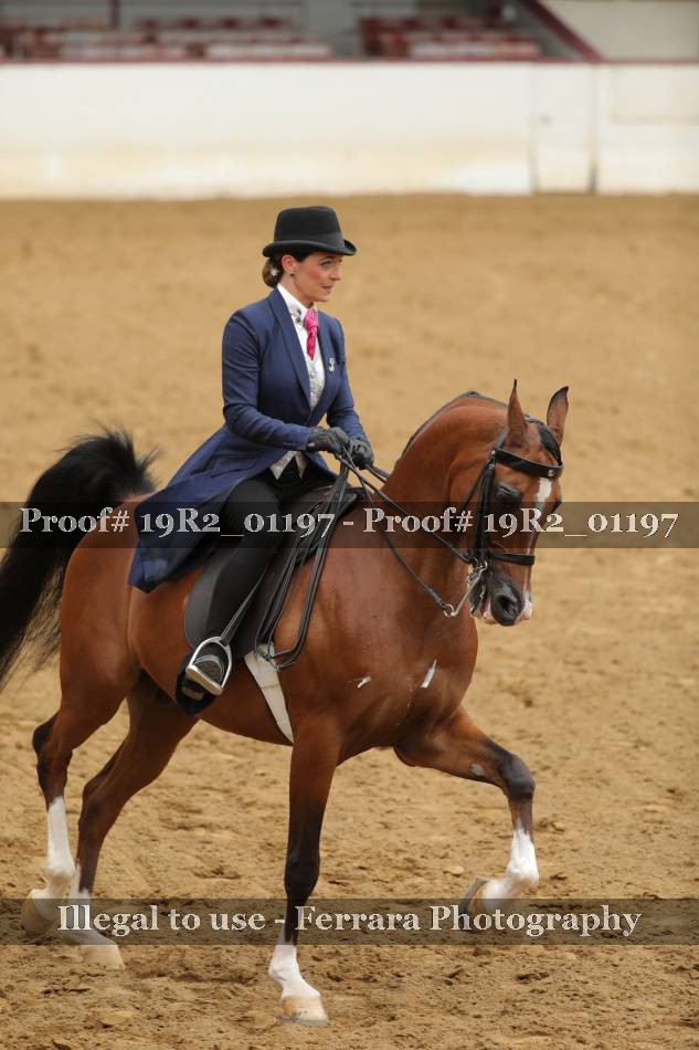 Proof 19R2_01197