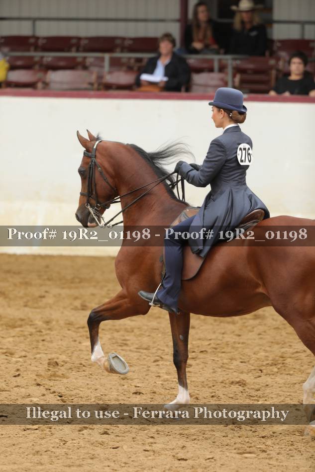 Proof 19R2_01198