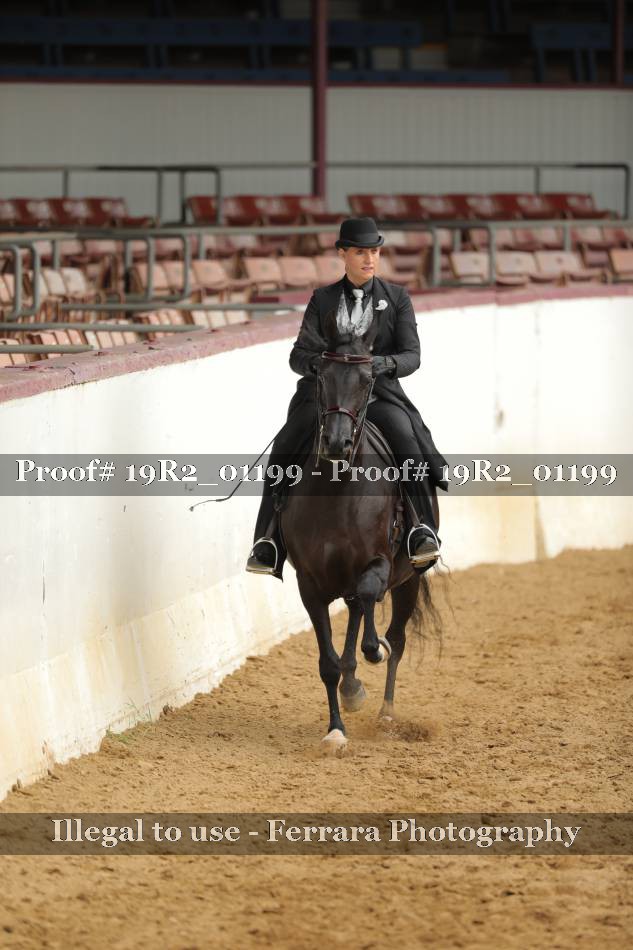 Proof 19R2_01199