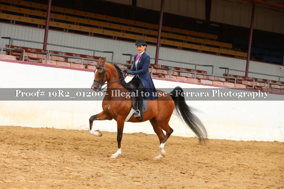 Proof 19R2_01200