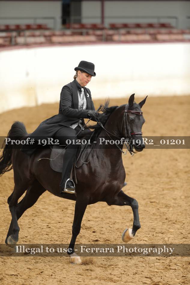 Proof 19R2_01201
