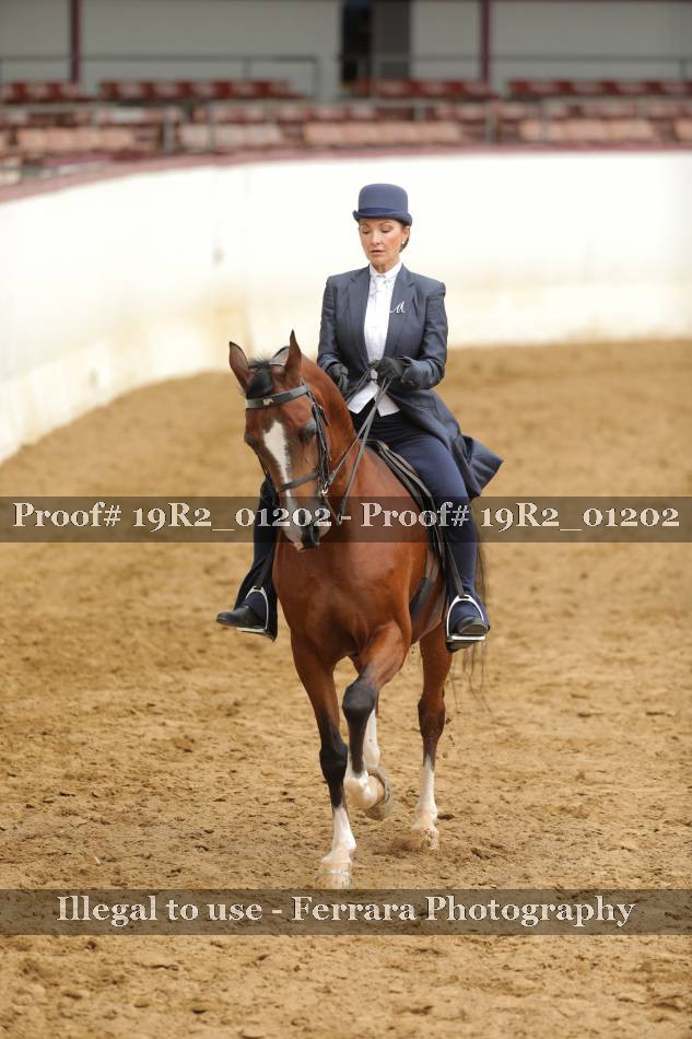 Proof 19R2_01202