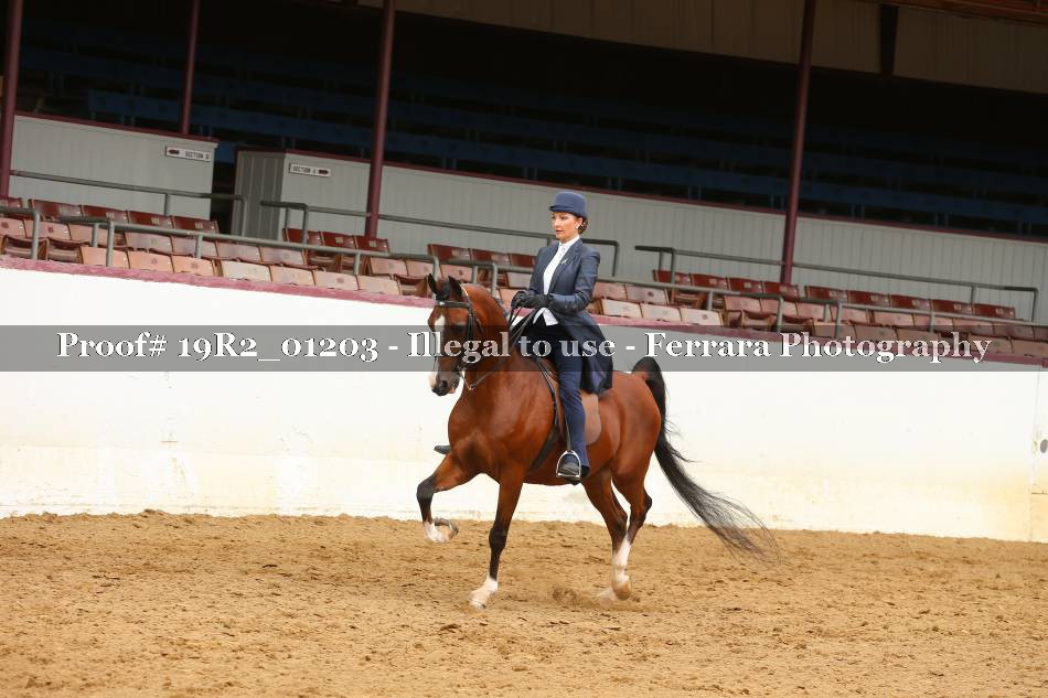 Proof 19R2_01203