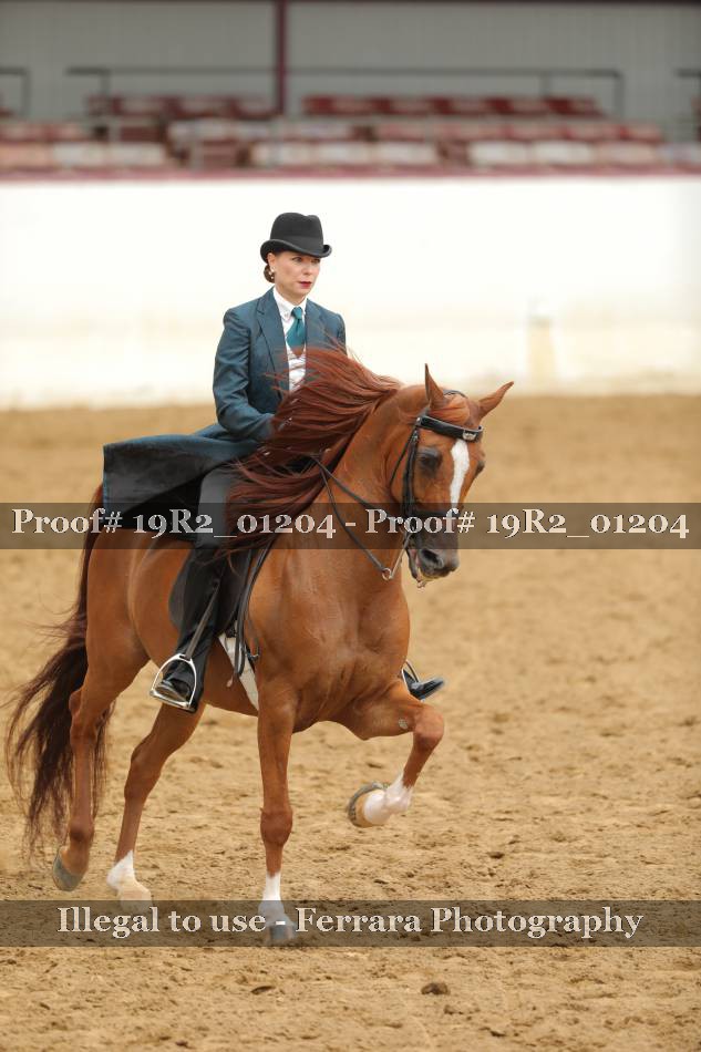 Proof 19R2_01204