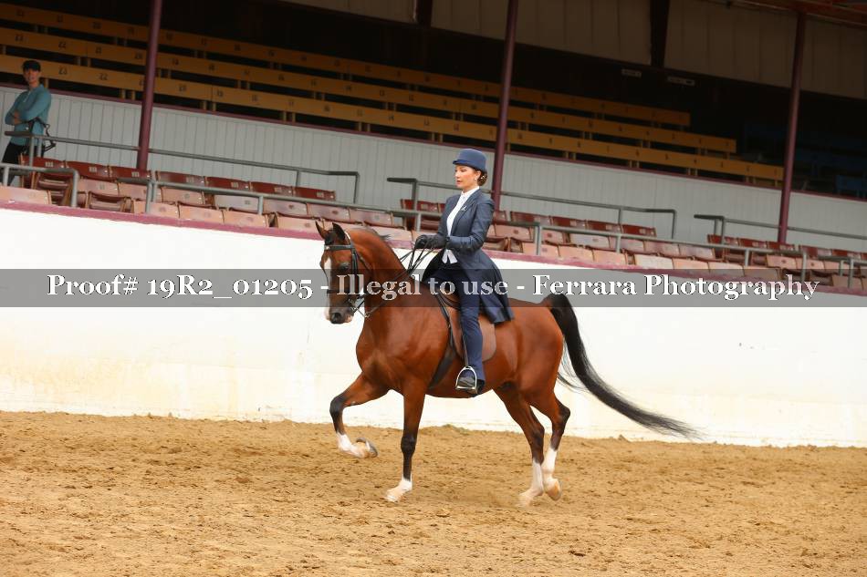 Proof 19R2_01205