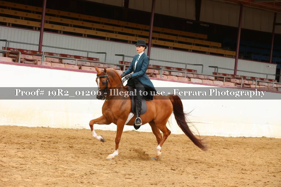 Proof 19R2_01206