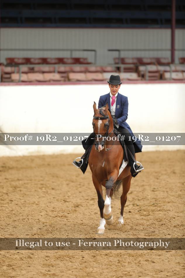 Proof 19R2_01207