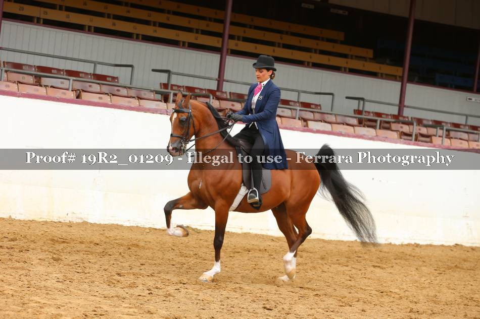 Proof 19R2_01209