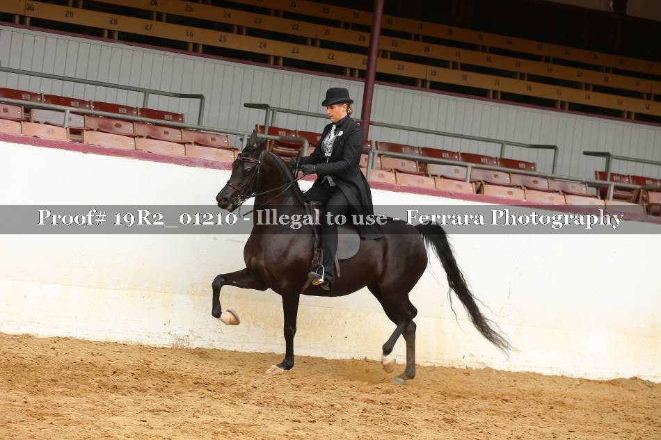 Proof 19R2_01210