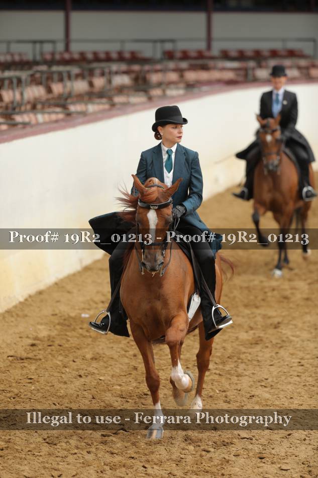 Proof 19R2_01213