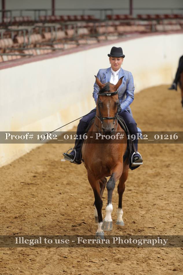 Proof 19R2_01216