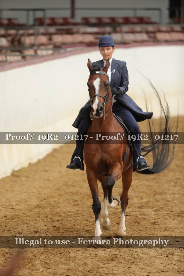 Proof 19R2_01217