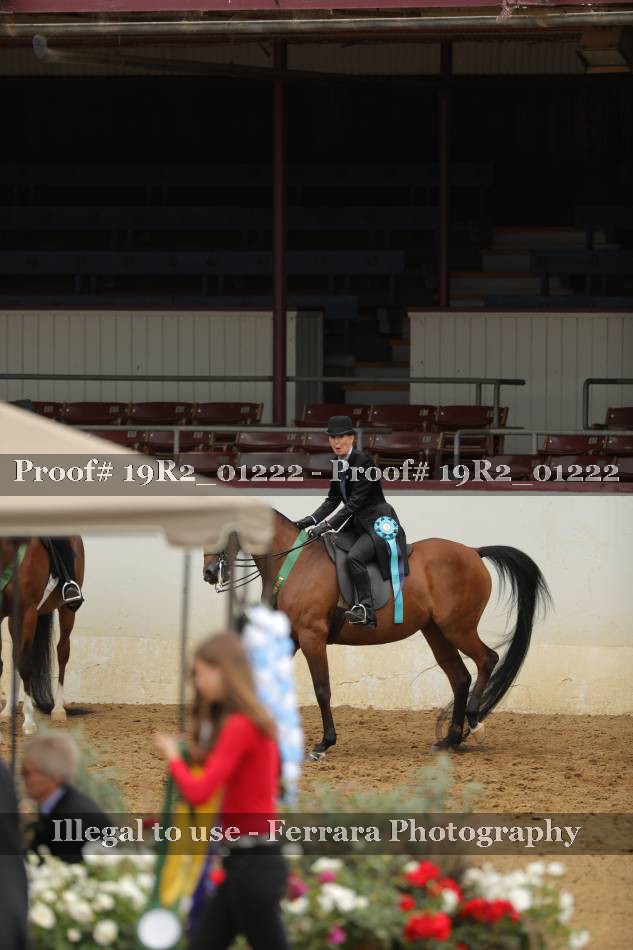 Proof 19R2_01222