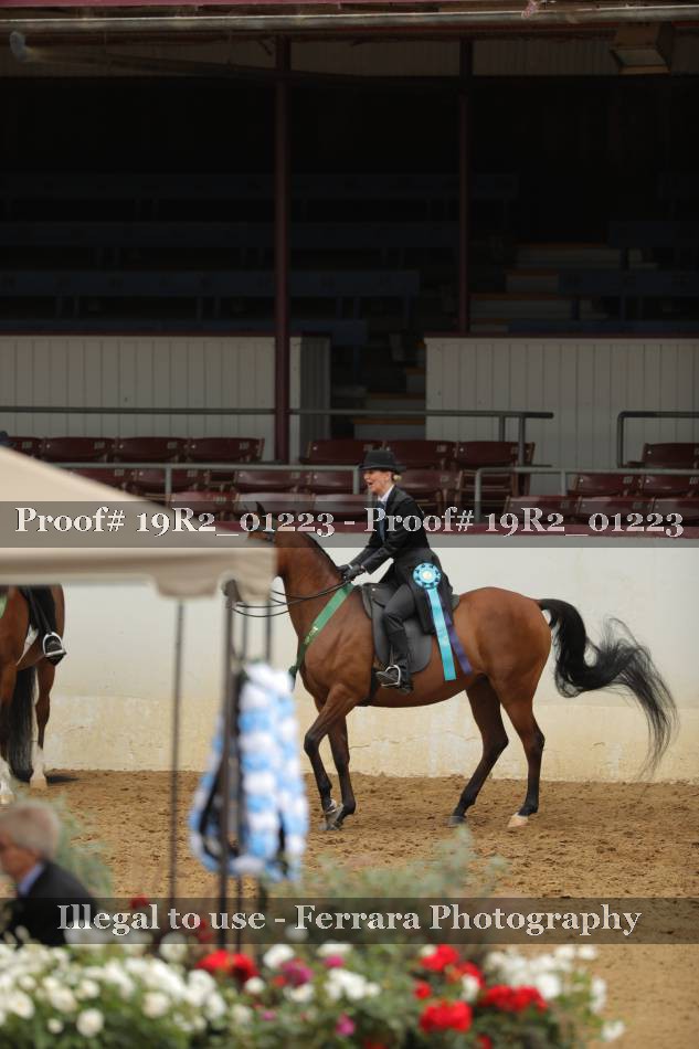 Proof 19R2_01223