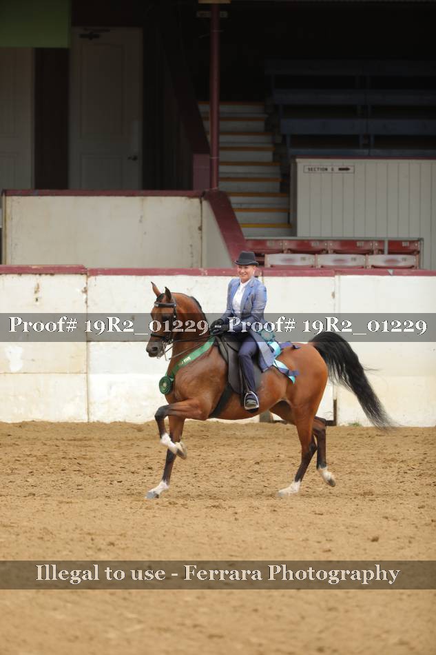 Proof 19R2_01229