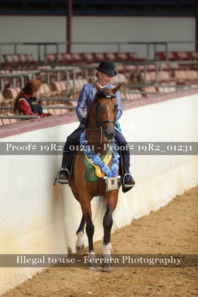 Proof 19R2_01231