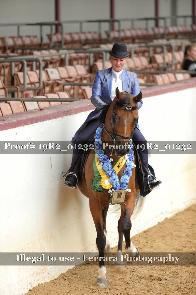 Proof 19R2_01232