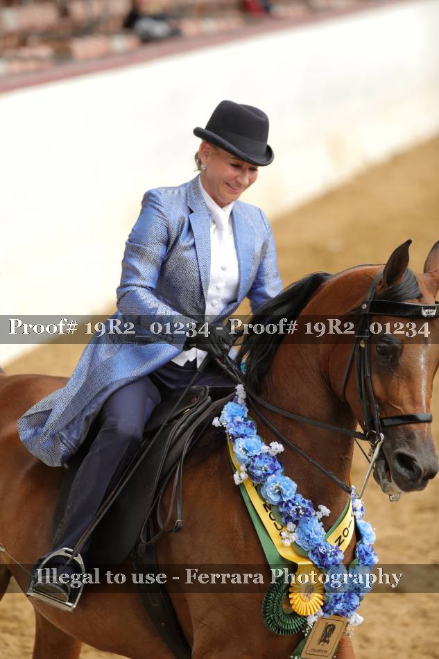 Proof 19R2_01234