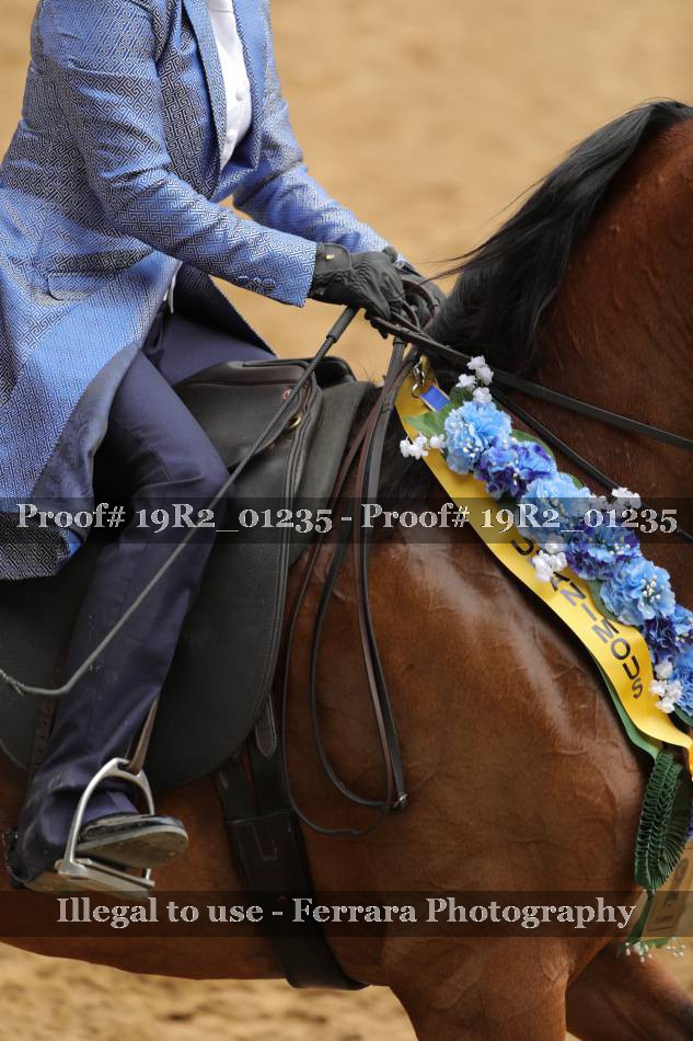 Proof 19R2_01235