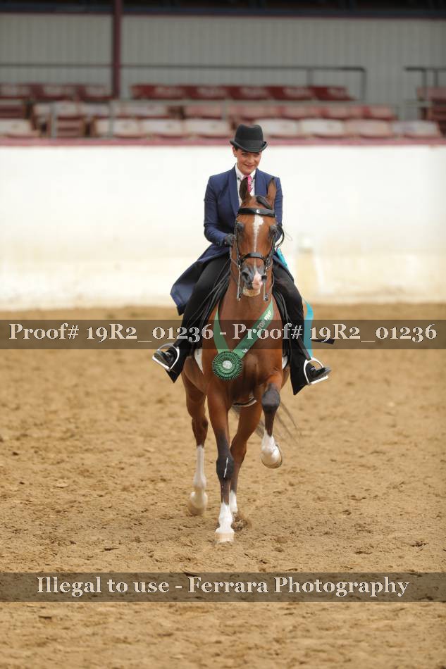 Proof 19R2_01236